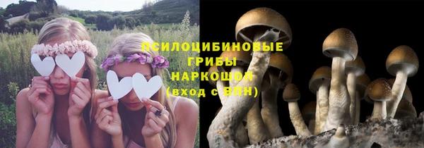 сатива Михайлов
