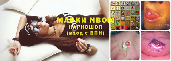 стаф Михайловка