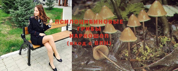 стаф Михайловка