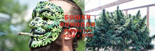 стаф Михайловка