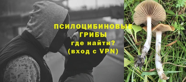 Альфа ПВП Медногорск