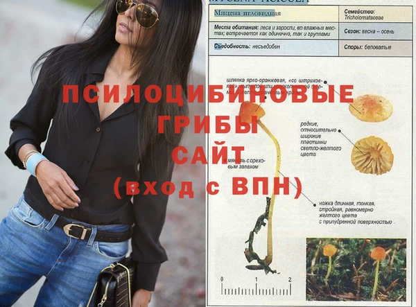 стафф Мегион