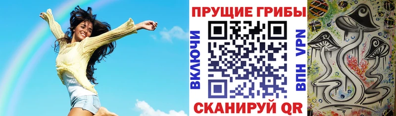 блэк спрут как зайти  Зеленоградск  Галлюциногенные грибы Psilocybine cubensis 